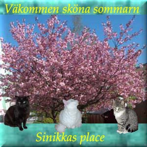 Tack Sinikka