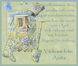 Tack Anita