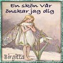 Tack Birgitta